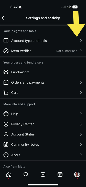 switching to a professional account opens instagram insights